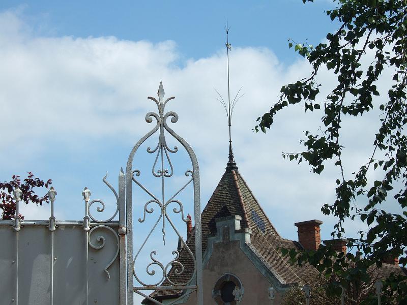 2010-05- (90).JPG